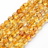 Natural Citrine Beads Strands X-G-S363-008A-1