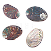 Natural Paua Shell Display Decorations DJEW-WH0042-148B-1