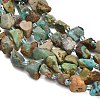 Raw Rough Natural HuBei Turquoise Beads Strands G-A322-B03-01-3