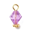Transparent Acrylic Pendants PALLOY-JF01834-04-2