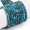 Natural Apatite Beads Strands X-G-F770-D09-02B-2