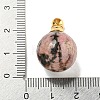 Natural Rhodonite Perfume Bottle Pendants G-K338-22G-04-3