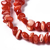 Natural Trochid Shell/Trochus Shell Bead Strands SSHEL-N034-78-C04-3