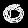 Opaque Glass Beads Strands GLAA-L050-C24-2