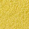 TOHO Round Seed Beads SEED-TR11-0349-2