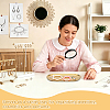 12Pcs 4 Sizes 201 Stainless Steel Oval Jewelry Plate ODIS-WA0001-34A-5