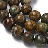 Natural Green Opal Beads Strands G-K365-F04-14mm-4
