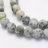 Natural Crazy Agate Beads Strands G-G707-8mm-B12-3