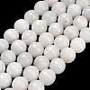Natural Rainbow Moonstone Beads Strands G-C280-B15-10mm-2