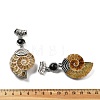 Natural Black Agate Fossil Snail Pendants G-F062-08-2