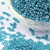 (Repacking Service Available) Glass Seed Beads SEED-C015-3mm-103-1