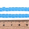 Transparent Frosted Glass Beads Strands GLAA-N072-01A-A12-4