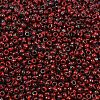 MIYUKI Round Rocailles Beads X-SEED-G008-RR4521-2