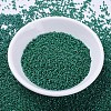 MIYUKI Delica Beads SEED-X0054-DB0656-2