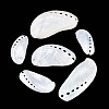 Abalone Shells Ornaments SHEL-T020-54-1