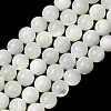 Natural Trochid Shell/Trochus Shell Beads Strands SH-CBA2978-16A-1