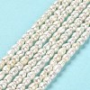 Natural Cultured Freshwater Pearl Beads Strands PEAR-E016-126-2