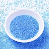 MIYUKI Delica Beads SEED-X0054-DB1249-2