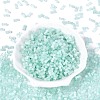 FGB Grade A Drawbench Style Glass Seed Beads SEED-Q040-01A-03-2