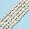 Natural Cultured Freshwater Pearl Beads Strands PEAR-F018-17A-01-2