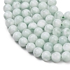 Glass Beads Strands G-L642-B18-6mm-4