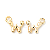 Brass Charms KK-P234-13G-W-1