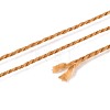 Braided Polyester Cord OCOR-T017-04A-34-3