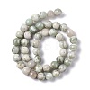 Natural Peace Jade Beads Strands X-G-G905-07-6MM-3