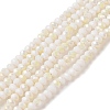 Electroplate Glass Faceted Rondelle Beads Strands EGLA-D020-3x2mm-05-B-1