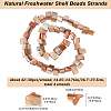 4 Strands Dyed Natural Freshwater Shell Beads Strands SHEL-BBC0001-14A-2
