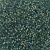TOHO Round Seed Beads SEED-JPTR11-0995FM-2
