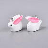 Spray Painted Opaque Resin Pendants RESI-TAC0030-01A-3