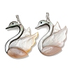 Natural Paua Shell & White Shell Pendants KK-U025-13P-1