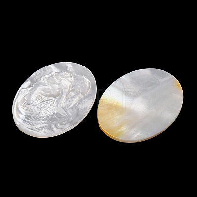 Natural White Shell Carved Cabochons SHEL-G024-02C-1