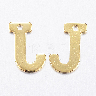 304 Stainless Steel Charms LS-X-STAS-P141-J-1