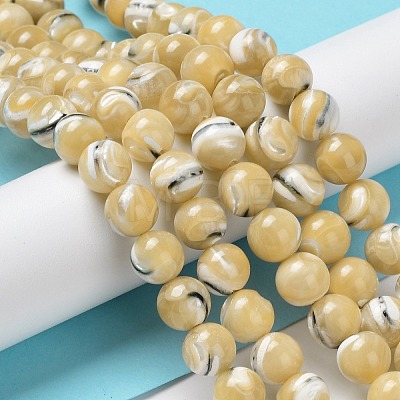 Natural Trochus Shell Beads Strands BSHE-P033-03A-1