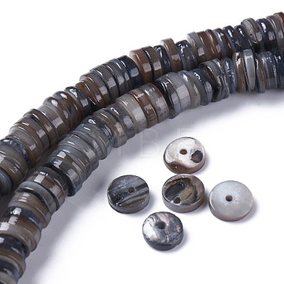 Natural Freshwater Shell Beads Strands X-BSHE-I016-04A-1