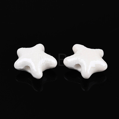 Handmade Porcelain Beads PORC-Q002-03B-01-1