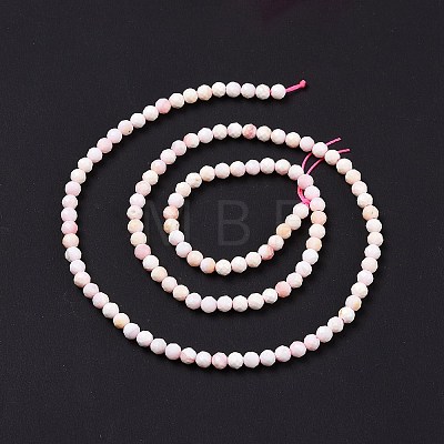 Natural Shell Beads SSHEL-G026-01B-1