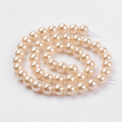 Shell Pearl Beads Strands BSHE-K011-10mm-VA066-1