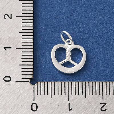 925 Sterling Silver Imitation Food Charms FIND-U013-11S-02-1