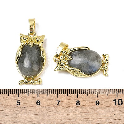 Natural Labradorite Pendant KK-F887-02G-09-1