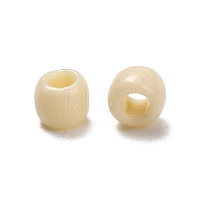 TOHO 6/0 Round Beads X-SEED-TR06-0051-1