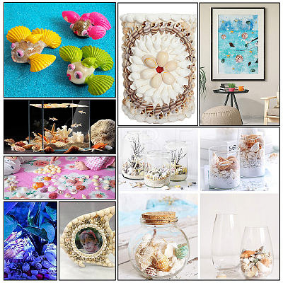 Natural Sea Shell Beads Kits SSHEL-PH0002-49-1