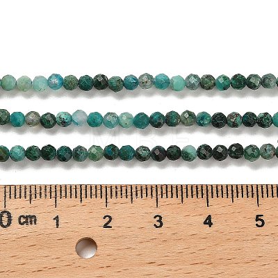 Natural Chrysocolla Beads Strands G-K373-B06-03-1