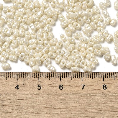Glass Seed Beads SEED-K009-02A-08-1