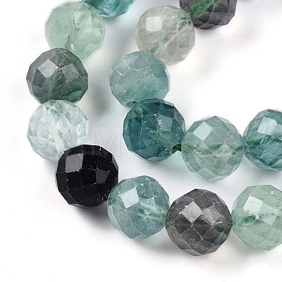 Natural Fluorite Beads Strands G-S345-10mm-31-1