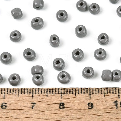 6/0 Baking Paint Glass Round Seed Beads SEED-S036-01C-09-1