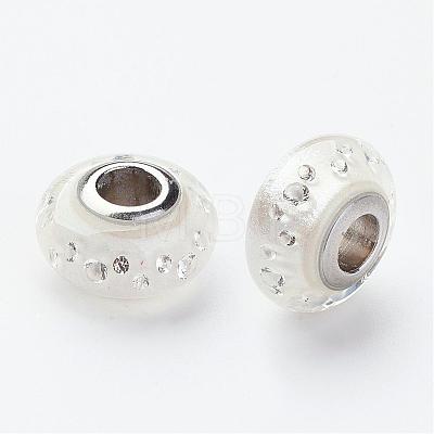 304 Stainless Steel Resin European Beads RPDL-G001-B13-1