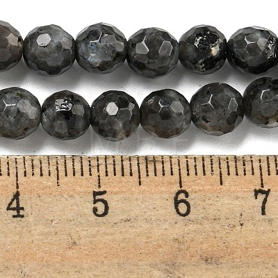 Natural Larvikite Beads Strands G-E571-A09-01-1